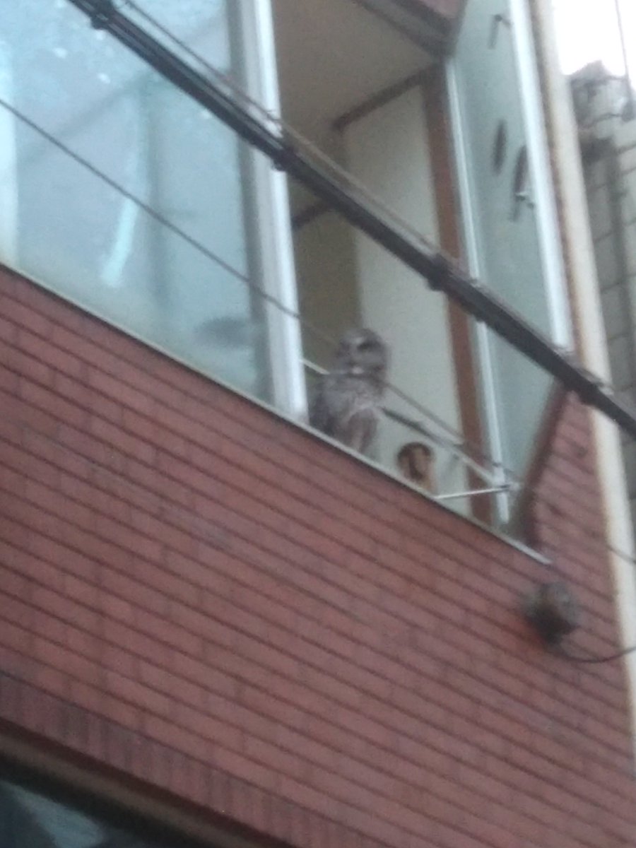 ビルの野窓から誰かが見ている…
