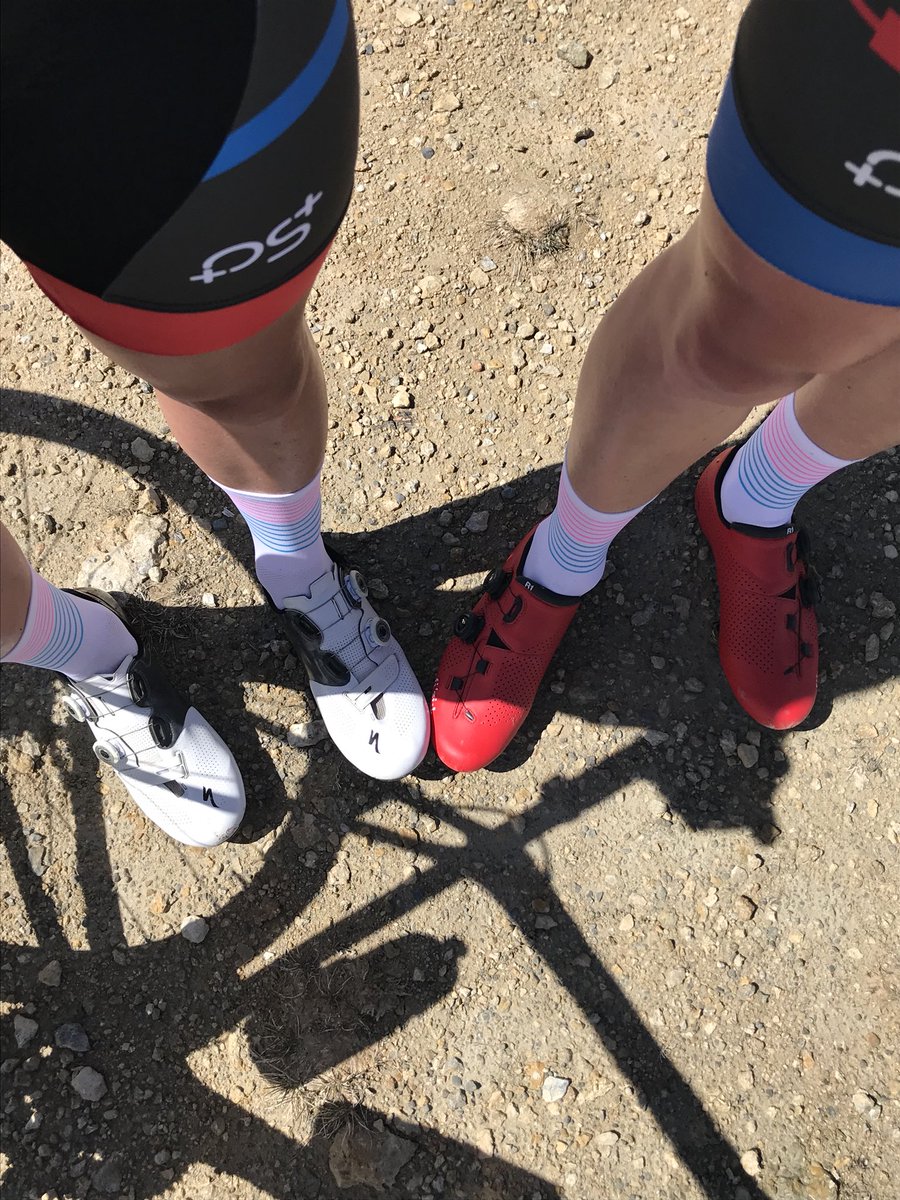 stu05b's tweet photo. Socks in the sunshine!! @Josh_Wakeling  @pongo_london https://t.co/nVf1eAs9oA