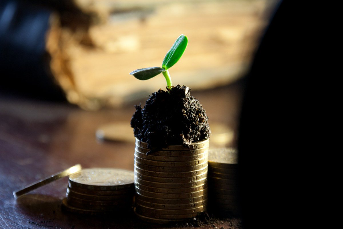 ECINSA's tweet photo. ¿Por qué estás perdiendo dinero en tu empresa sin un ERP?
https://t.co/y8GttIQsom https://t.co/k672E4cDKC