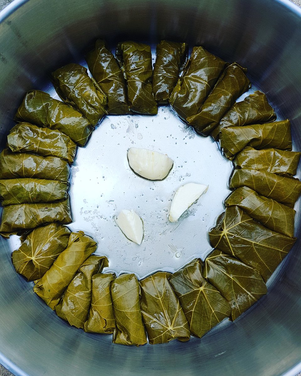 Lara_Ta_Touille's tweet photo. Et c'est pas fini !
#feuillesdevignes #feuillesdevignesfarcies #dolma #dolmas #dolmeh #farcie #food
#foodphotography #cooking #vegetable #vegetablefood #oriantalfood #greekfood
#huiledolive #beurre #legumes #epices https://t.co/Luu3DMv0XM