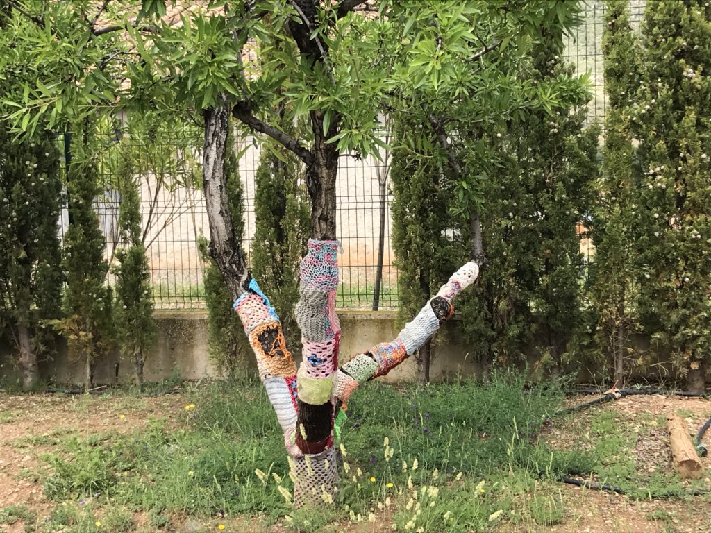 MIGarcia__'s tweet image. Aprendiendo muchísimo con los alumnos del #ColegioRamonyCajal de Alpartir en el encuentro #ChangemakerEd #ValdejalónPorLaEducación #EscuelasChangemaker y @trilemaedu