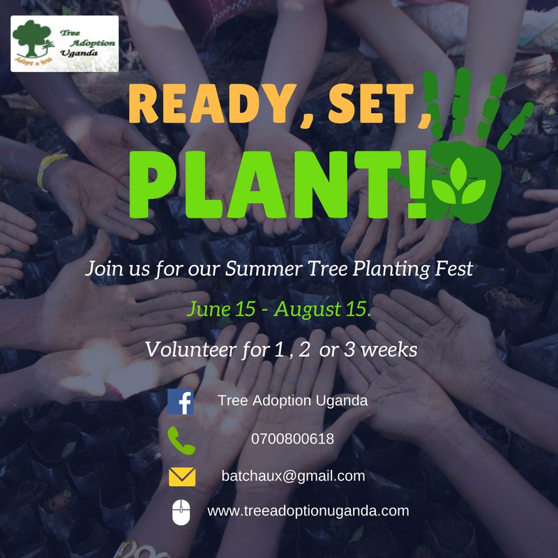 tree_adoptionug's tweet photo. As soon as .@CharlesBatte returns from the .@GlobalLF Investment case .@WorldBank we will be getting ready for that time of the year when we get dirty planting trees like crazy! - 10,000 trees will be planted and GPS mapped with @EcoMatcher #TreeCorder Join us this summer. #trees https://t.co/ekNRTc1usd