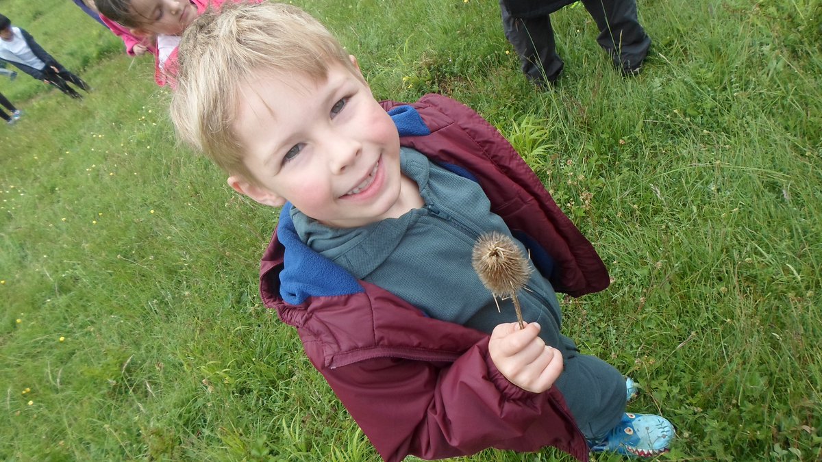StMartins3016's tweet photo. The whole of KS1 had a wonderful trip up onto Ranmore yesterday, as part of their learning theme on 'Explorers'. What a stunning resource we have, to support our learning. Our thanks to our wonderful St Martin's parents for giving up their time to come with us. #learningissuchfun https://t.co/Z3KeBYalJk