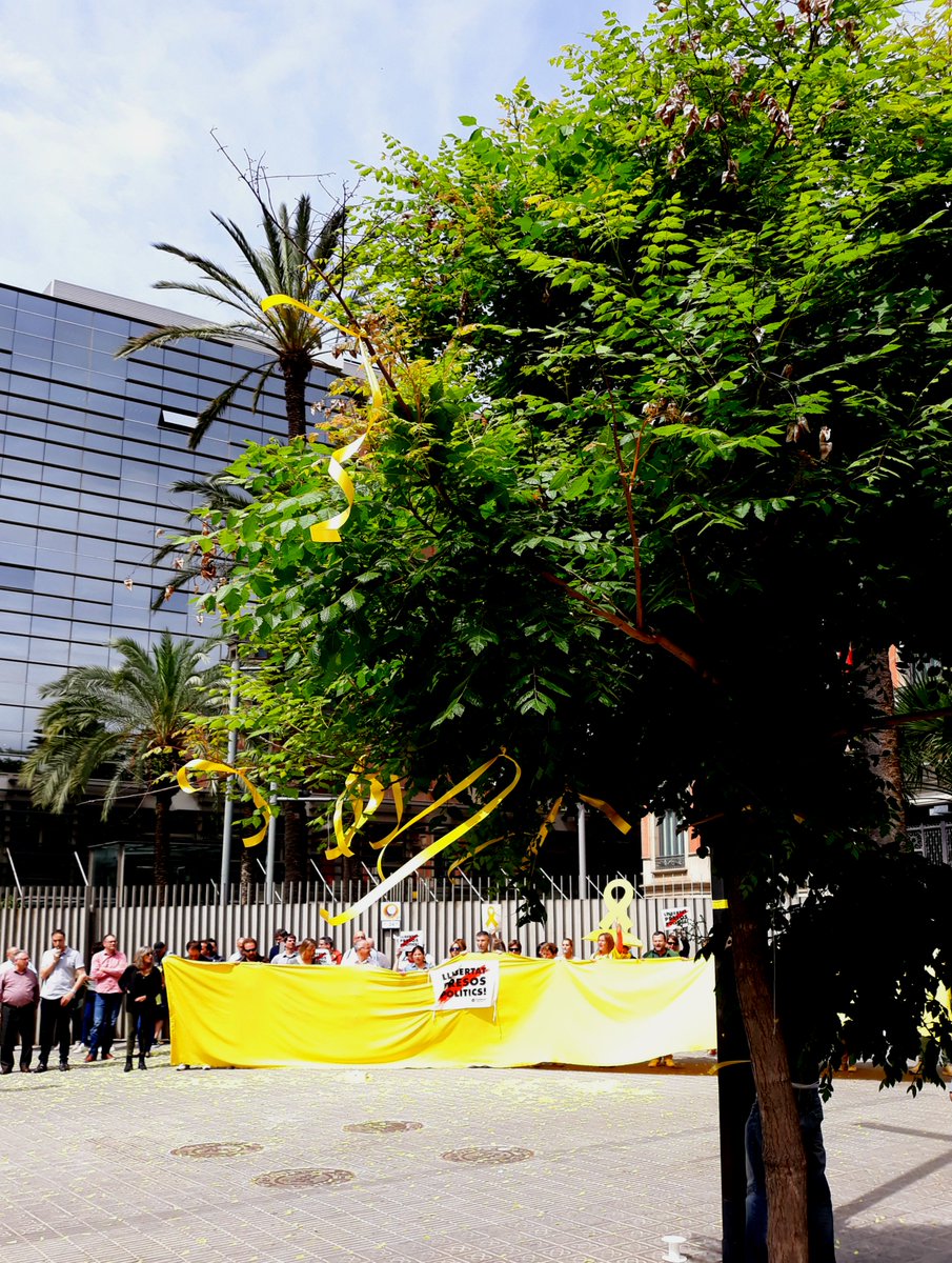 adic_int's tweet photo. Un cop més, AL CARRER!
Llibertat @quimforn ✊🏼✊🏼✊🏼
Un bon dia per a passejar el #ColorGroc
#Noal155 #NiUnPasEnrere #AdicINTERIORenLluita
#LlibertatPresosPolitics #LlibertatPresesPolitiques 
[1 de 3] https://t.co/afM2uxoHts