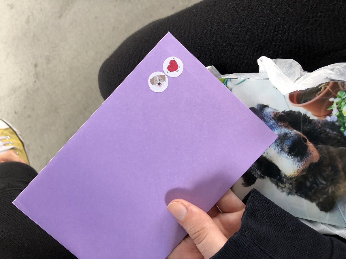 itsallfinenow's tweet photo. Mi perrita murió el lunes pasado y mi novia me ha dado hoy esto de su parte. 

A lo mejor no he llorado. https://t.co/FX0zyAtDRI