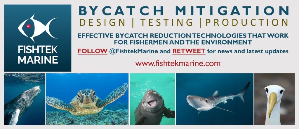 FishtekMarine's tweet photo. Excited to be bringing #LumoLead, #BananaPinger, #ProGlow & @HookPod samples to InfoFish's 15th International #Tuna Conference https://t.co/PFTzinGgD0.
Don't miss the #Longline #Bycatch Mitigation Workshop (27.05.18) hosted by @nature_org and Sustainable Fisheries Partnership! https://t.co/qxRpkFFimX