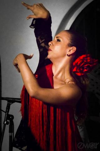 CanasterosTf's tweet photo. Somos Canasteros, Somos Flamenco! Siguenos en Instagram @canasterostf #Caracas #Venezuela #FelizLunes #PrimeraPagina https://t.co/c88ATskvV3