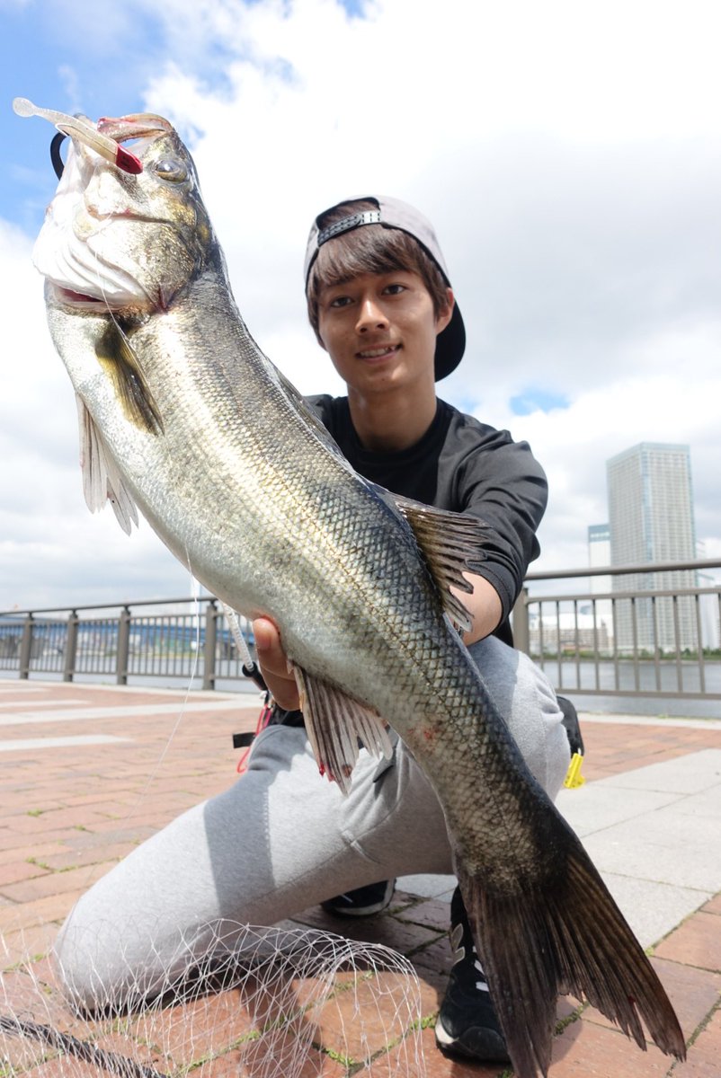 טוויטר 高橋優介 בטוויטר 昨日のシーバス 居着きの漆黒の魚体がかっこいい ニンジャリ デイゲーム シーズンインですね Blueblue Fishing シーバス 海 釣り T Co S5a6jpdbgx