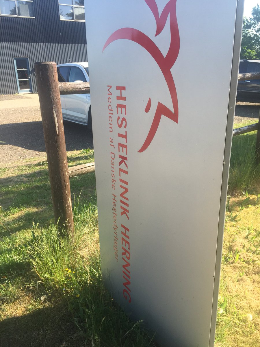 TRMTomB's tweet photo. @TRMNutrition great meeting, #HerningVetPractice https://t.co/LD8k2LaE9U