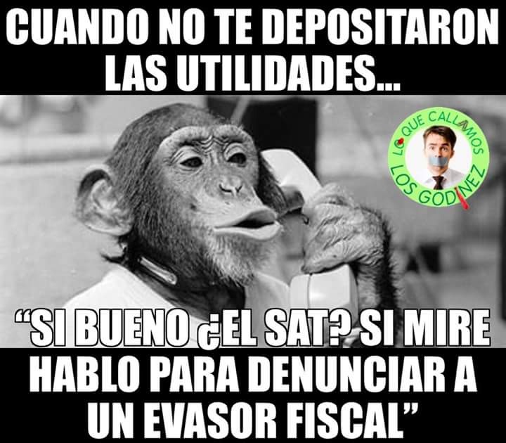 JoseLuisRios_'s tweet photo. Y recuerden amiguitos:
Mayo, mes de las utilidades... decían.
#DíaDelContador https://t.co/69OB7BnHv6