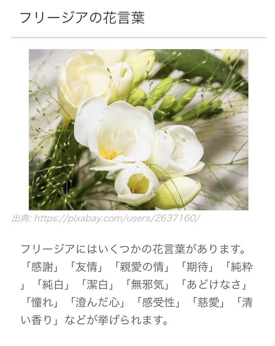 フリージアのtwitterイラスト検索結果 古い順