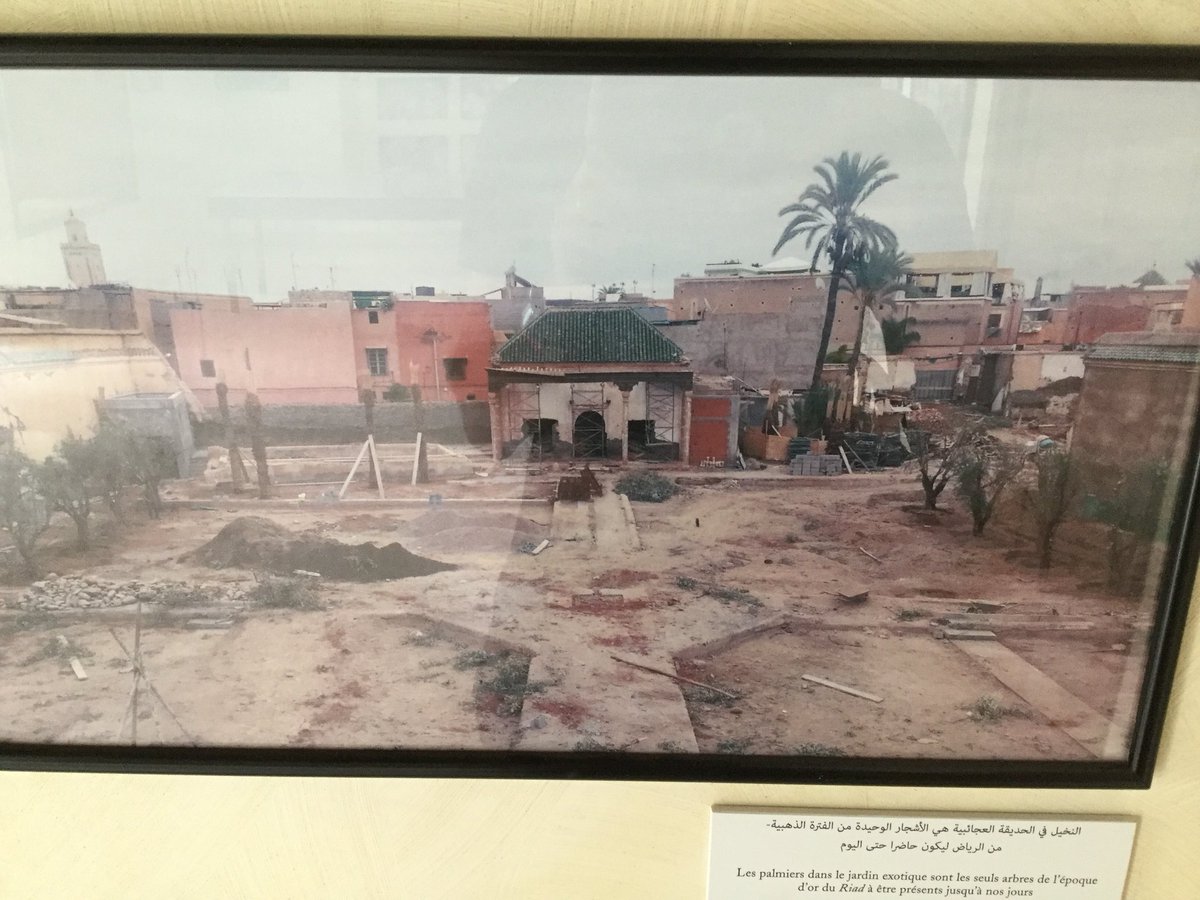 AdamCorsini's tweet image. Le Jardin secret in Marrakech is a real hidden gem. An abandoned derelict building restored to its 19th century glory. Sometimes it’s the most basic of ideas that works out the best. #SimpleButEffective