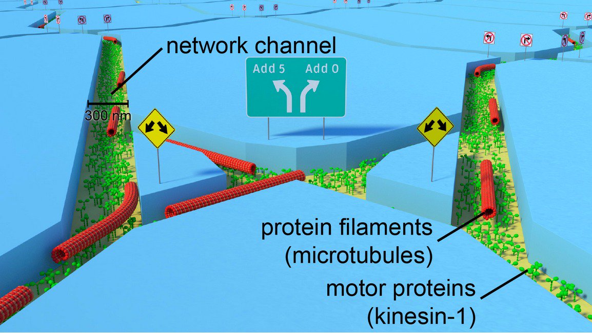 pierrepinna's tweet image. A High-Performance Computing Cluster Running on a Few Kilograms of Biochemical Fuel Instead of Megawatts of Electricity... Just #scifi?
👇
@Bio4Comp within the @EU_Commission Demonstrated That's It's Actually Possible!
buff.ly/2scSDJN v/ @TillKorten
#Biotech #Innovation