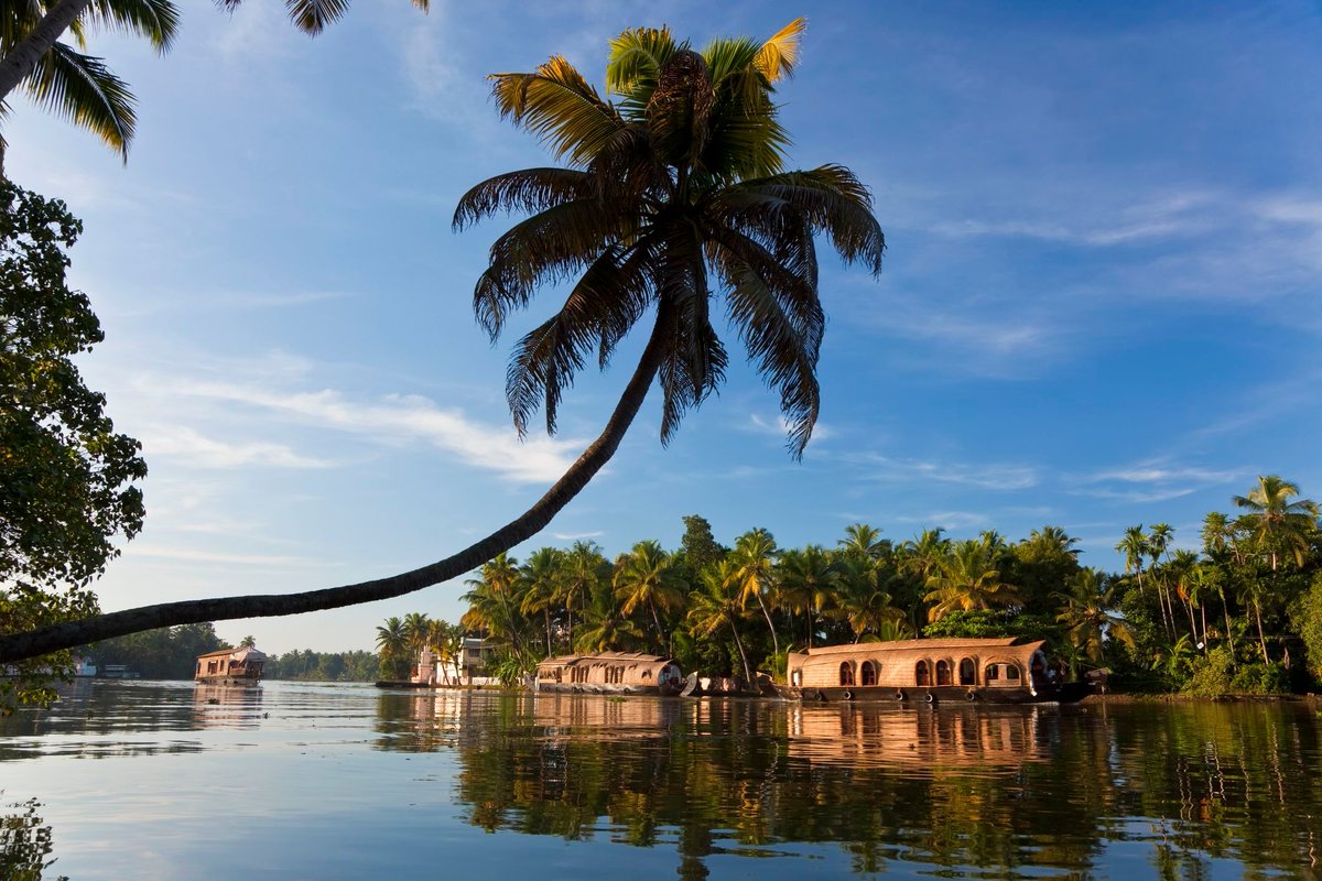 Kerala Backwaters, India
#kerala #southindia #keralabackwaters #backwaters #travelkerala #backwatersofkerala #india #travel #travelinspiration #bucketlist