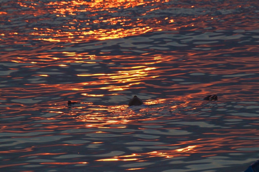 the complete life of rama: based on valmiki’s ramayana and the earliest oral