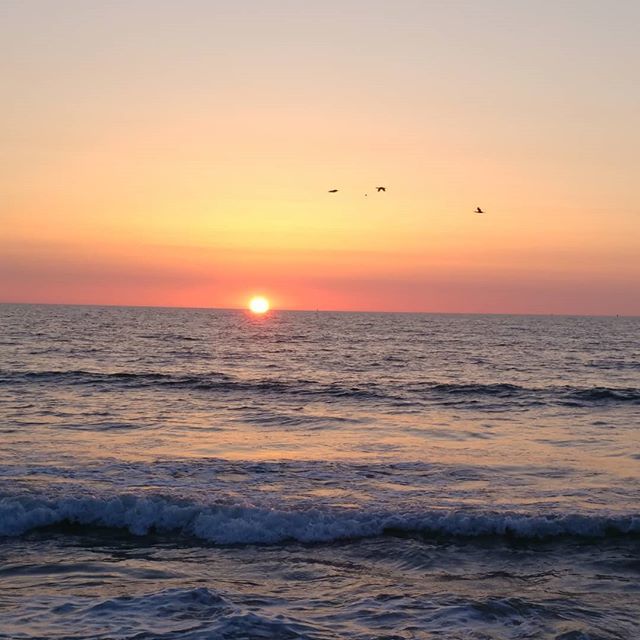 <a href="/capehatterasnps/">Cape Hatteras National Seashore</a> 
Great Morning 🌎 .
.
.
.
.
#camping #mtb #biking #hiking #fitness #outdoors #adventure #explore #Rvlife #mountains #beach #nature #beauty #love #rideparklive #family #friend #minimalist #wanderlust #fun #journey #tavelblog #blogger #… ift.tt/2GPb7VL