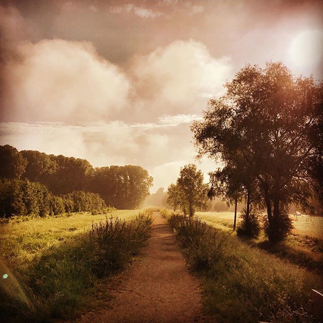 ChNiedermeier's tweet photo. Auf dem Isardamm #freising #ig_freising #freising_rathaus #isar #weg #onmyway #nature #naturephotography #landschaft #landscape_lovers #landscape #sepia #morning #ammorgen #trees #fog #mood #warmlight #licht #tau #morgenstimmung #morningglory #amfluss #s… https://t.co/7qmQVtYQDa https://t.co/nHhAPypV0X