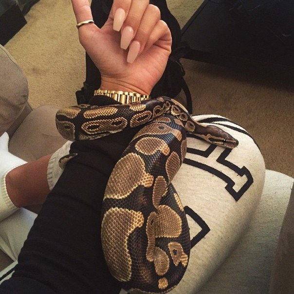 Moya natura.❌🐍