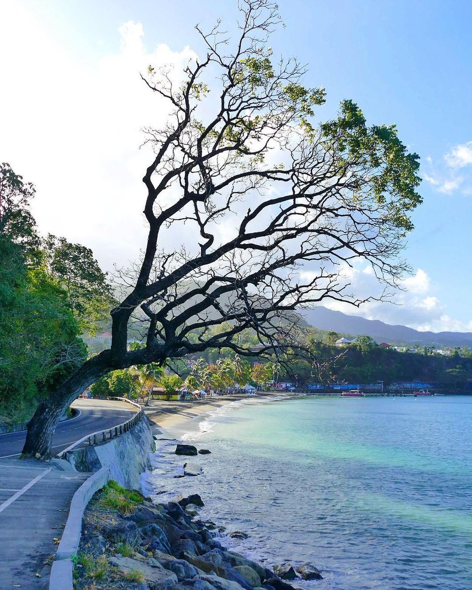 ilesGuadeloupe's tweet photo. Sur les routes des Îles de #Guadeloupe, vous aurez envie de vous arrêter très souvent pour admirer les paysages ! 😉
📸 https://t.co/7zC1PQrjg0 https://t.co/PxH0GZEvGQ