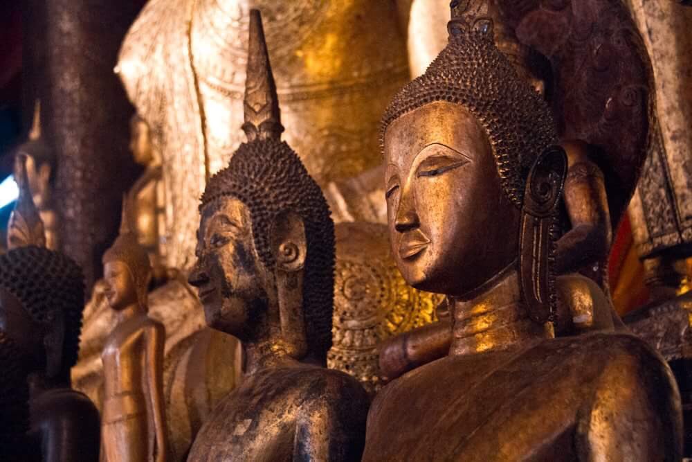 JoshBulriss's tweet image. When you transform your mind, everything you experience is transformed.
     — Mingyur Rinpoche