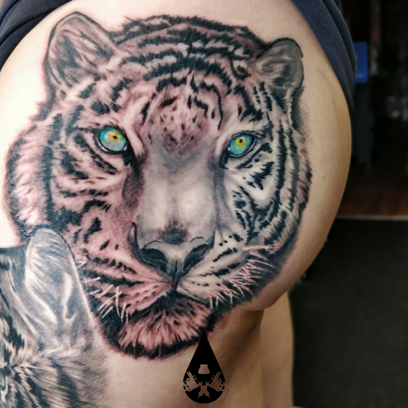 tiger with blue eye tattooTikTok Search
