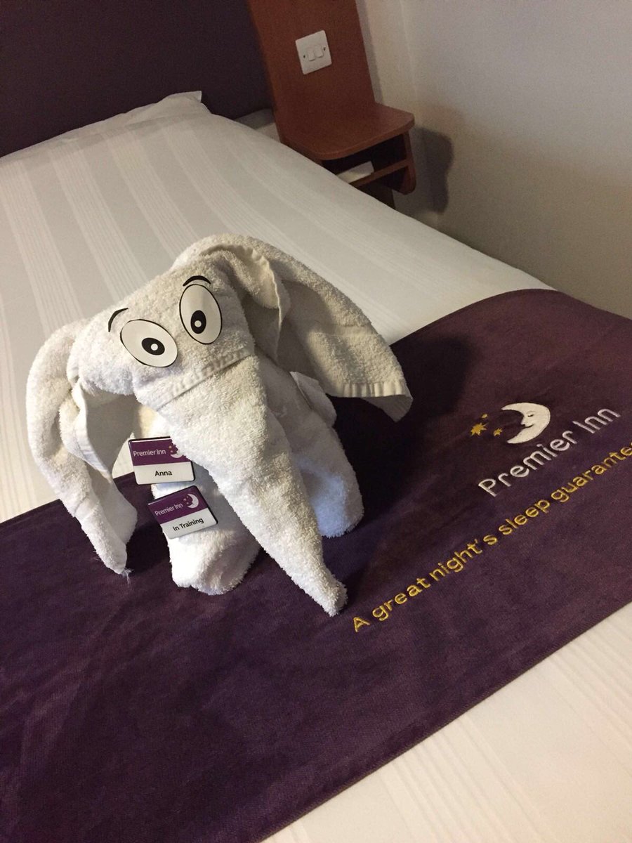 Having fun with towel art on international towel day in <a href="/WestScotIreland/">WestScotIrelandJS</a> - our young guests will love it! 🐶🐻 <a href="/AndyFr4ncis/">AndyFr4ncis</a> @mrbryanwatters <a href="/SDEBDD/">simon ewins</a>