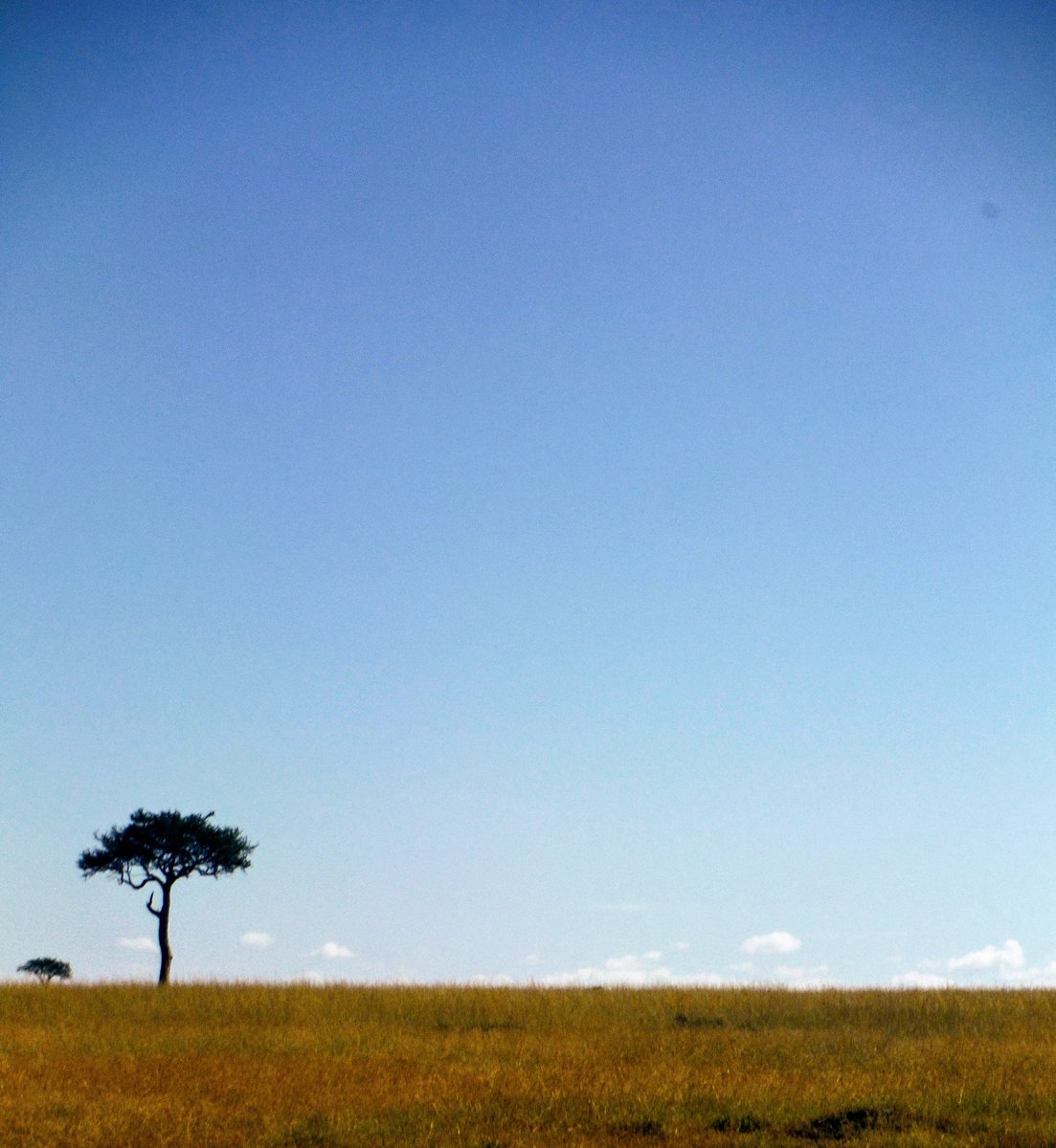 nishit_p's tweet photo. Happy #AfricaDay https://t.co/kVOGL9WTe4