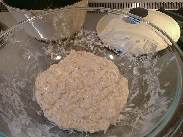 donaldm314's tweet photo. Happy Fresh Bread Friday!

#yyc #photography #noknead #nokneadbread #baking #bread #freshbreadfriday https://t.co/L6XYoV4dkd https://t.co/E9lIo0SDpu