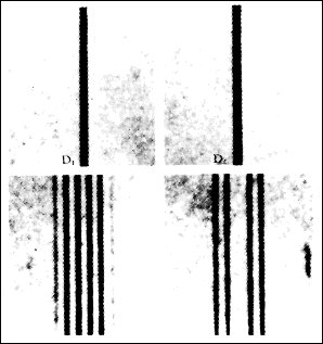 Chart Of Electromagnetic Radiations 1944