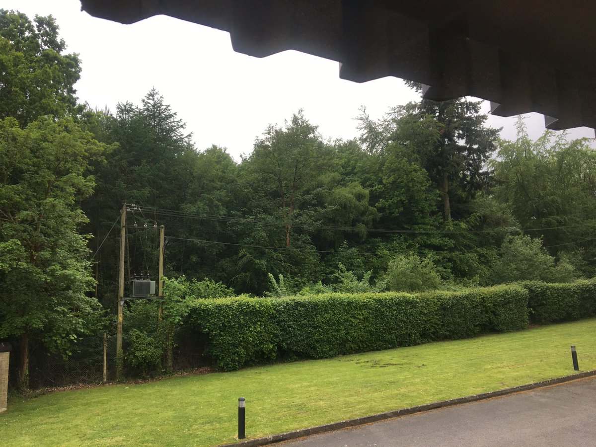 Clare_PureHR's tweet photo. Our week @PureHRLtd has involved lots of #thegword but we've had enough so I'll stick with AOB here! #clientdays #project review meetings #prospects #recruitment #planning #HR #Hampshire #FridayFeeling and one view from our triple aspect office #settlingin #countryside #trees https://t.co/qpyZN4tKRL
