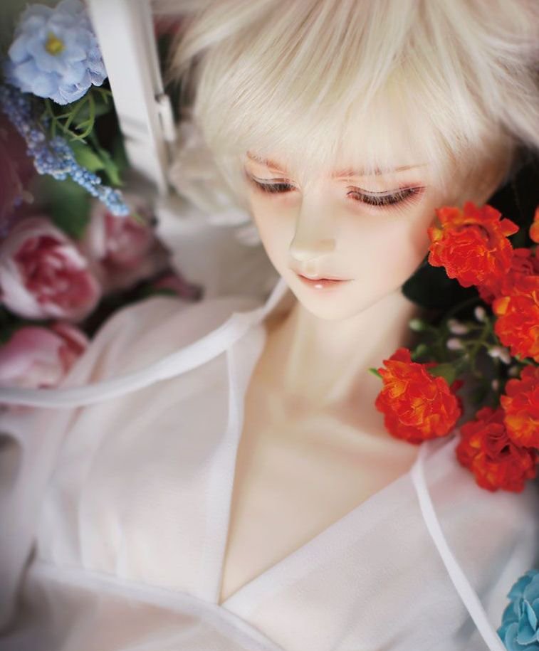 お知らせ】美形ドールメーカーBJD CROBIの代名詞「Ys Day Dream」新 