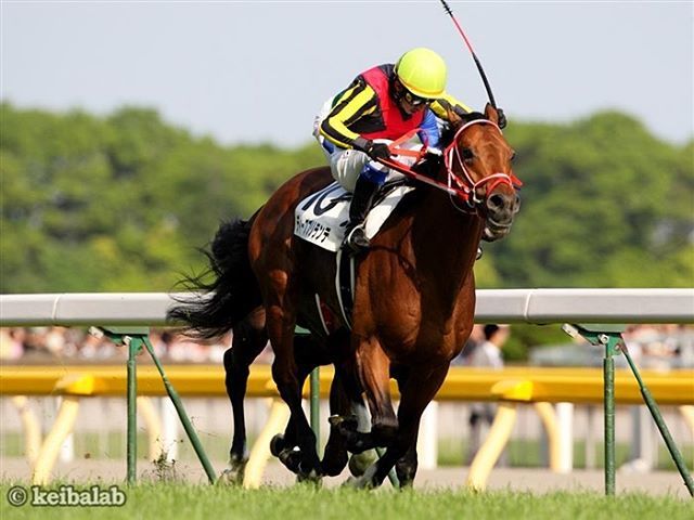 競馬ラボ 日本ダービー 12年 東京優駿 Japanesederby ディープブリランテ Deepbrillante 岩田康誠 矢作芳人 競馬 Keiba T Co K0tbi09hgg