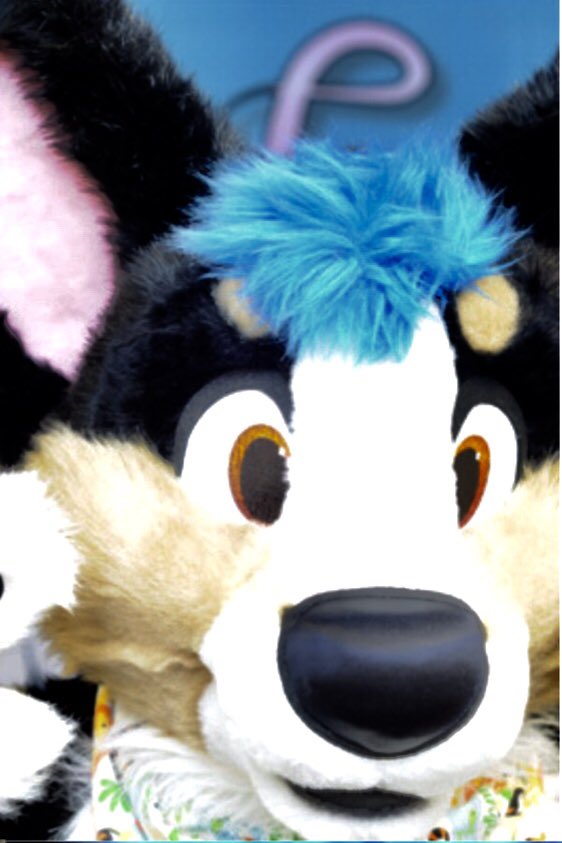 JonasCorgi's tweet photo. I found the photo booth at #Frolicon2018 *nose boops* #FursuitFriday https://t.co/TBbWhD6fr6