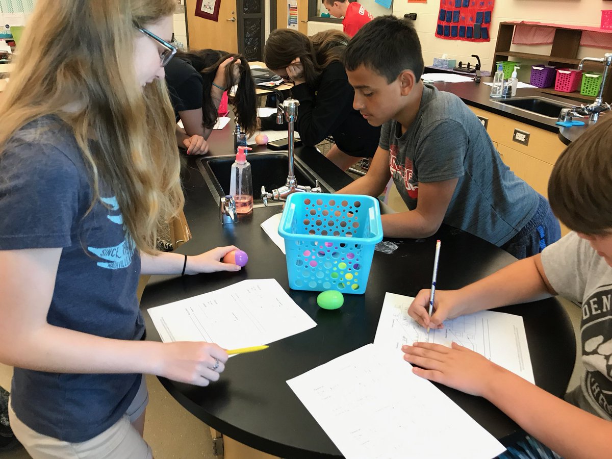 LMSWolfpack's tweet photo. Plastic egg genetics! LMS 7th grade science learns about genetics. #handsonfun https://t.co/1wp7aMMx48