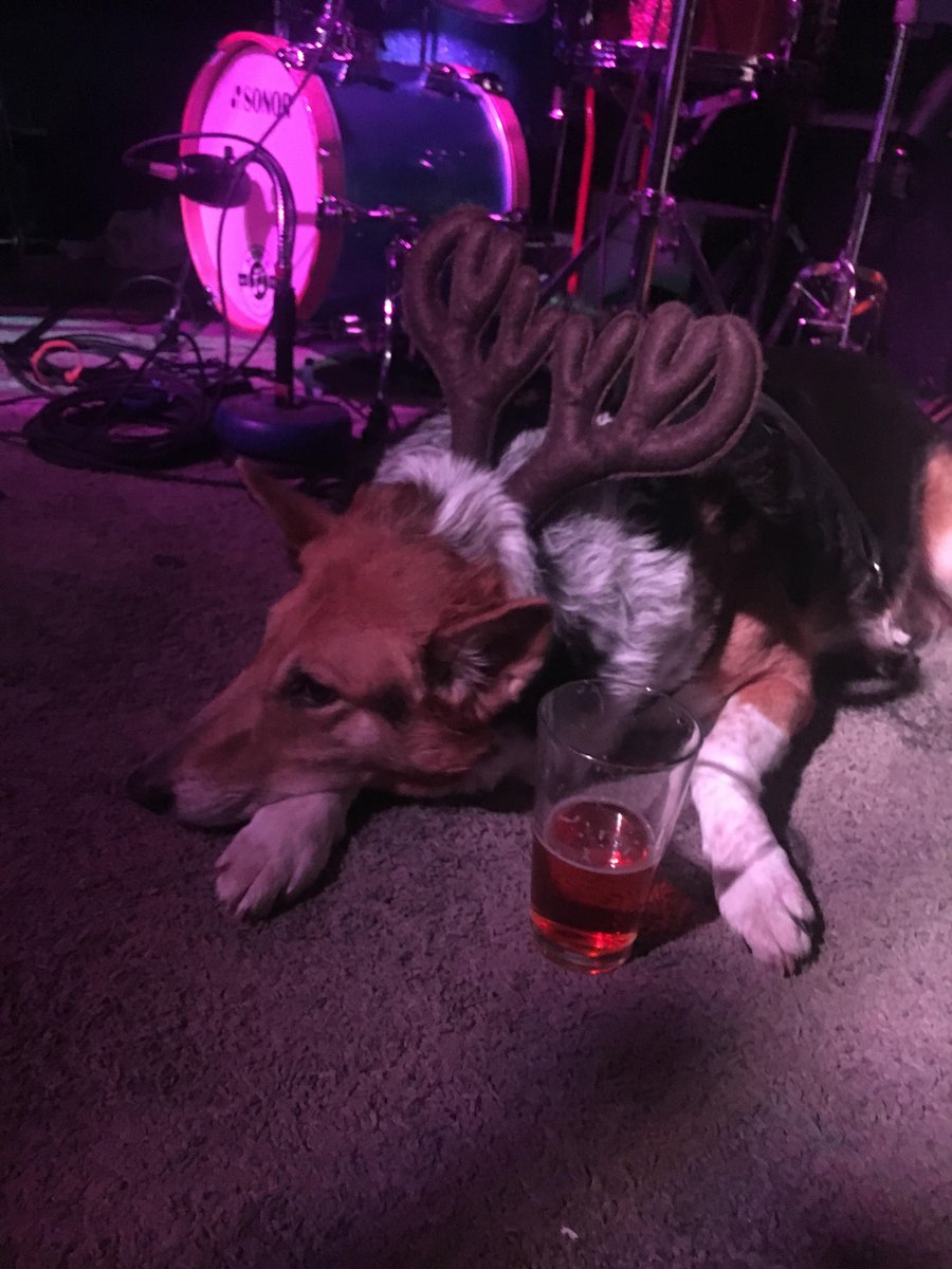 duffystavern's tweet photo. Don't be sad. Bring your dog down to Happy Hour, 4-7. Free pool, pooches, and cold drinks. What more could a good boy/girl want? #lnk #happyhour #dogs #pooches #puppers #goodboysandgirls #hounds #yippers #beer #liquor #fishbowls #woof #bark #whine #sniff #scratch #enoughhashtags https://t.co/bWpWG6L8YJ
