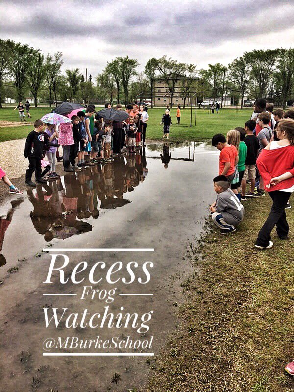 r_steciuk's tweet image. Wow! What fun....mud, water.. and Frogs swimming!!! Recess is exciting, fun &amp;amp; educational! #mothernature #nature #recessfun #nesd