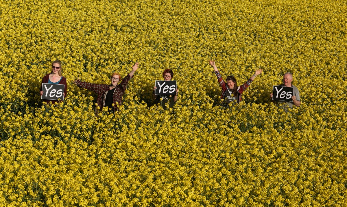 FarmersR8th's tweet photo. MASSIVE RURAL TURN-OUT! ...And they're coming in from the fields and the meadows. And they're leaving their silage half-cut.....all to go #VoteYes Look at all them marvellous #farmers4yes #farmersforyes coming out to have their say and #repealthe8th #togetherforyes #8thref https://t.co/zDkATInkox