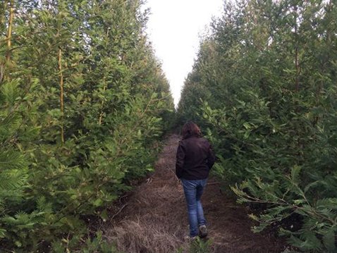 Medidas Ruta Energética., leña como combustible, renovables, eficiencia energética, educación..., entre otros... Grandes temas con grandes desafíos por enfrentar en equipo <a href="/INFOR_Minagri/">Instituto Forestal</a> <a href="/MinagriCL/">Ministerio de Agricultura de Chile 🇨🇱</a> <a href="/MinEnergia/">Ministerio de Energía</a>  <a href="/rodrigotorresh/">Rodrigo Torres Hermosilla</a> <a href="/Kariluengov/">Karina Luengo</a> <a href="/AChBiomAG/">AChBiom AG</a>    duna.cl/noticias/2018/…