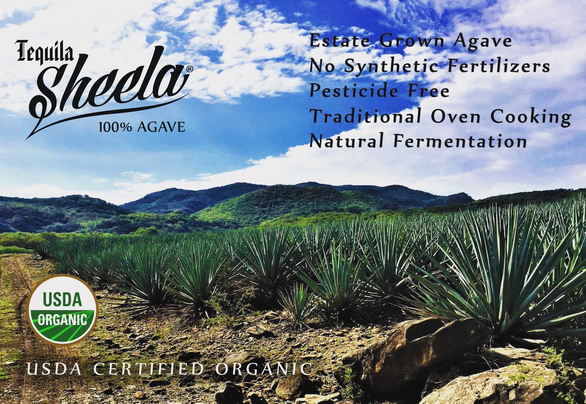 Traditional and organic tequila making at its best #whatsinyourtequila #estategrownagave #nosynthetics #pesticidefree #stoneovencooking #naturalfermentation #usdaorganic #organic #agavefields #tequilasheela