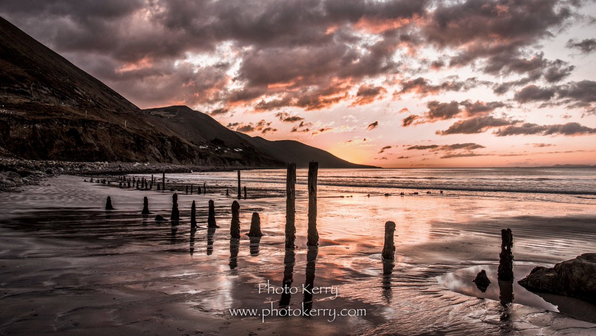 Sunset over Rossbeigh Beach, Glenbeigh, Co. Kerry
Follow Photo Kerry to keep updated on new images
photokerry.com
@midkerryjournal <a href="/reeksdistrict/">Reeks District</a> <a href="/ND7200/">NikonD7200</a> @KerryGems <a href="/thisiskerryie/">This Is Kerry</a> <a href="/rosspoint_1/">Rosspoint</a> <a href="/GlenbeighHotel/">The Glenbeigh Hotel</a>