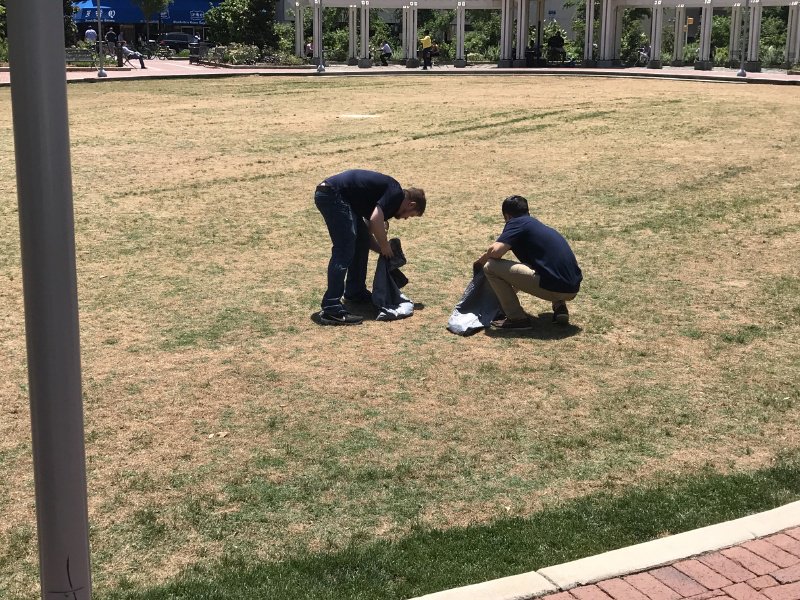 Schellman's tweet photo. In Charlotte, our employees wanted to go green and cleaned up local parks to keep the Queen City beautiful. #SchellmanDoG https://t.co/4L743jF1cd