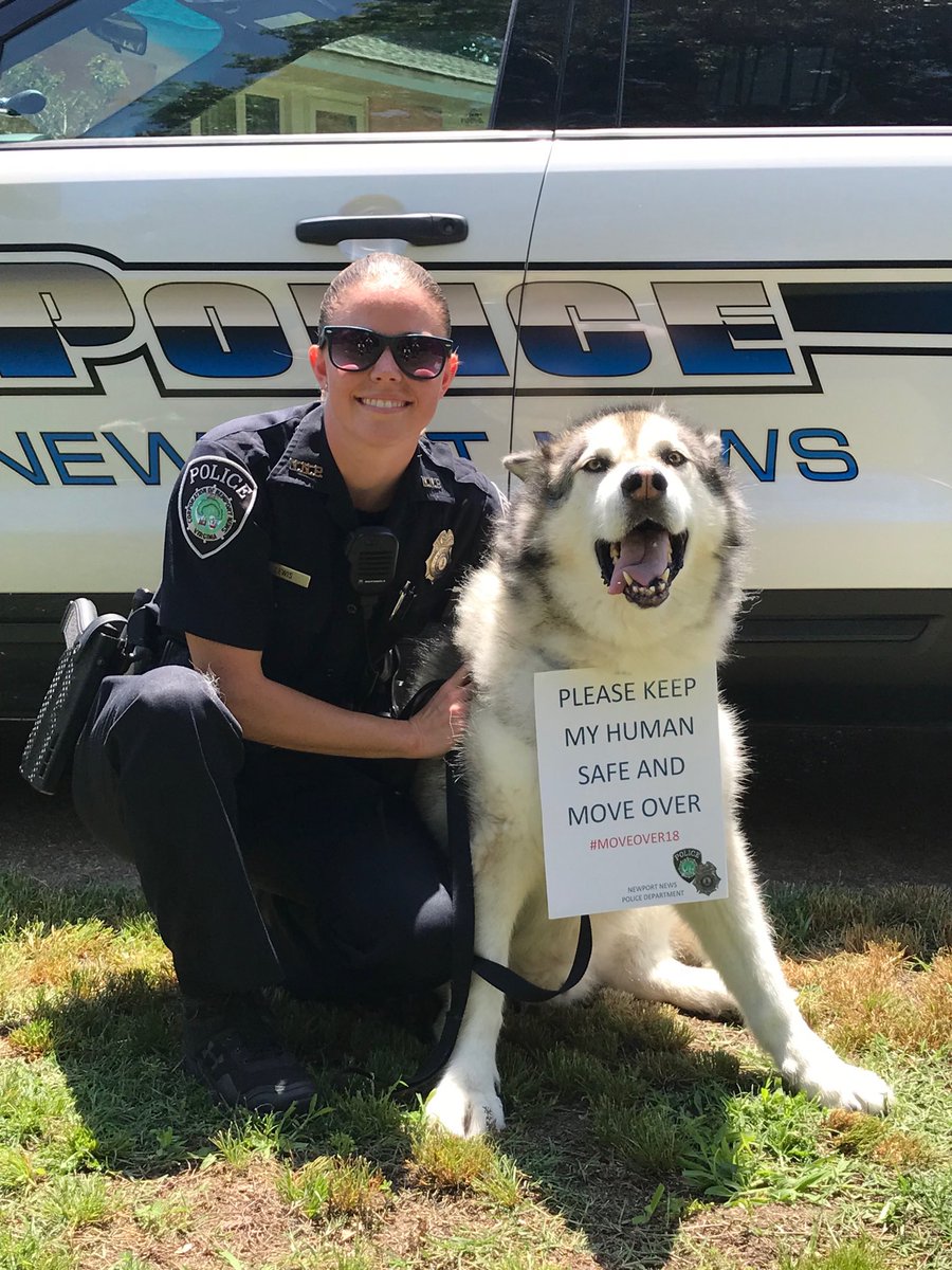 NewportNewsPD's tweet photo. Shadow wants his Mom to come home safely. Please move over or slow down when you see emergency vehicles stopped on the side of the road #NNPD #MoveOver2018 https://t.co/9CupTWFKj7
