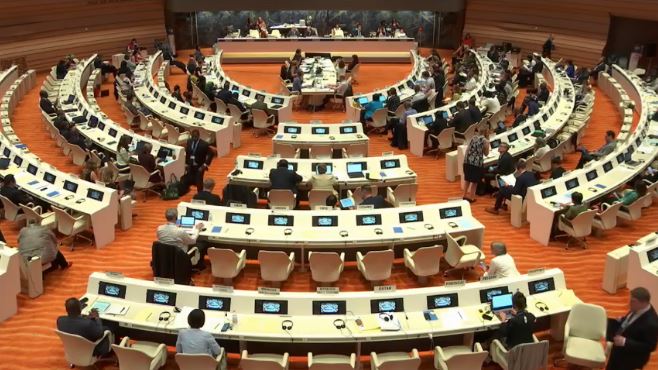 worldheartfed's tweet photo. The World Health Assembly approves the Resolution on Rheumatic Fever and Rheumatic Heart Disease! #TimeToTackleRHD #HealthForAll #WHA71 @RHDAction 👏👏👏👏👏 https://t.co/PaqdjwRrm4