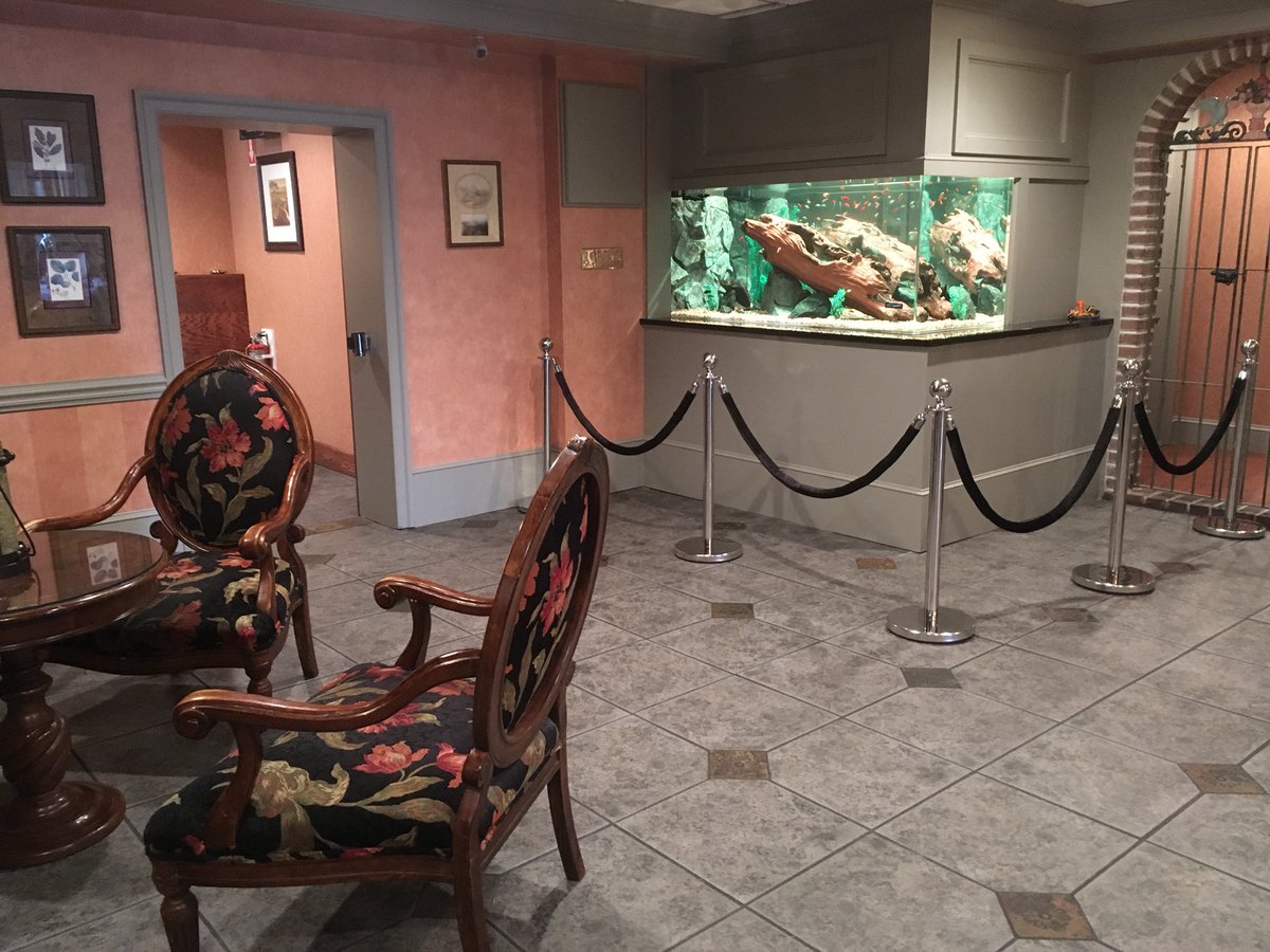 ArmcoAquatics's tweet photo. Always a pleasure to service this 300 gallon freshwater tank at @ConcordvilleInn!
_________________
#armcoaquatics #aquarium #acrylictanks #aquariumtankmanufacturing #fishtank #freshwateraquarium #aquariumservices #aquariummaintenance https://t.co/lRi6FjaOj4