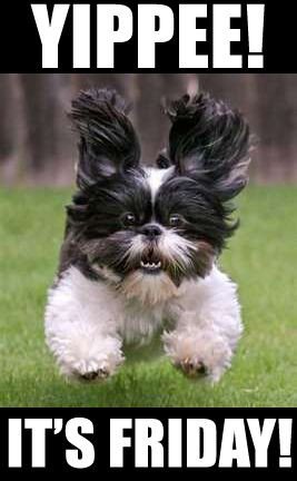 ONG_AUTOMATION's tweet image. hope everyone has a great weekend and enjoys the glorious sunshine #happyfriday #FridayFeeling #EngineeringUK #Engineering #automation