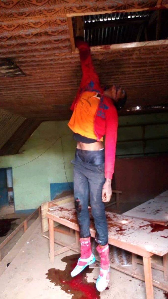 Stop the Genocide in Sourhern Cameroons happening now!!!