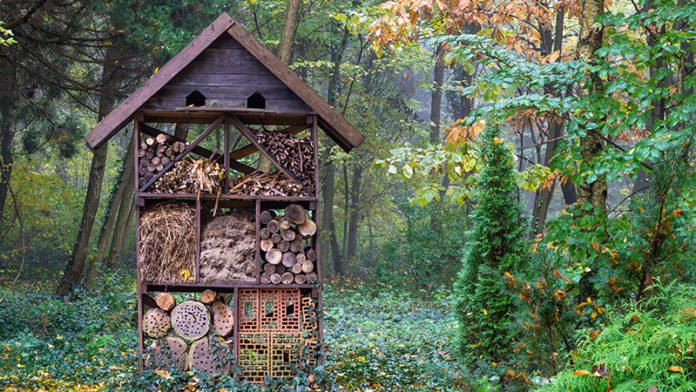 Inspired by some of the pollinator-friendly gardens at the #RHSChelseaFlower?

Why not make your own bug hotel this #BankHolidayWeekend - it's simple and a great way to make use of unwanted logs or tiles bit.ly/2g7ZXAA

#friyay #gardening