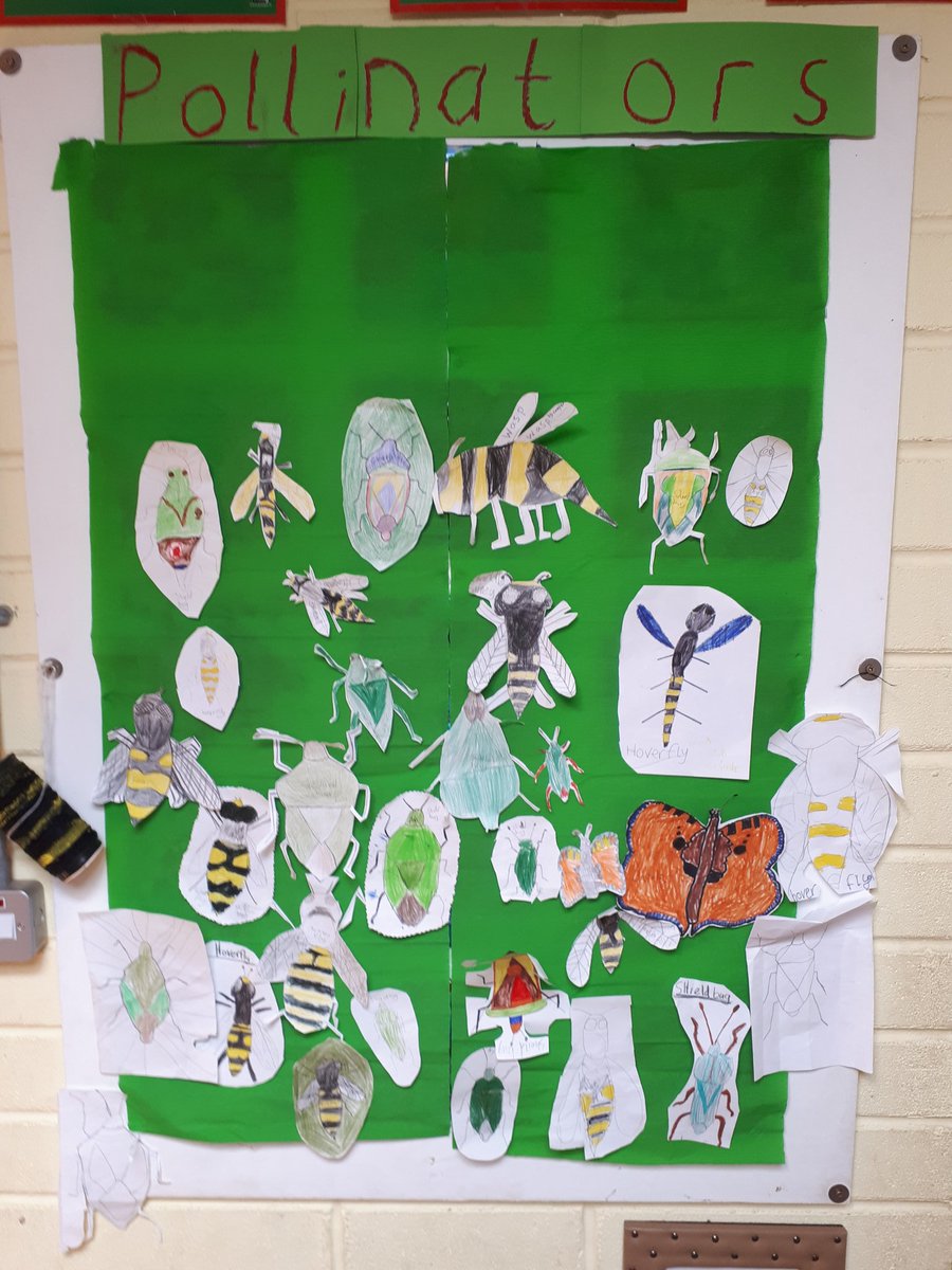 Gurraneasig_NS's tweet photo. @BioDataCentre National Biodiversity Week https://t.co/Pz0wuUFZm4