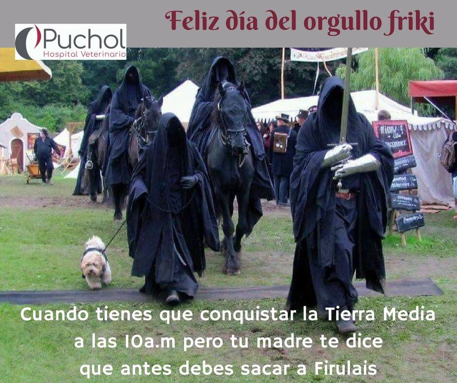 HVPuchol tweet media