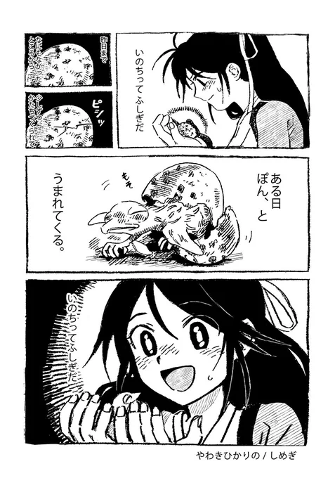 やわきひかりの(艦これ/葛城) 1/4 